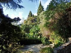 183 HYERES ET SES PALMIERS D01_000017